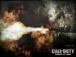 Call of Duty: World at War